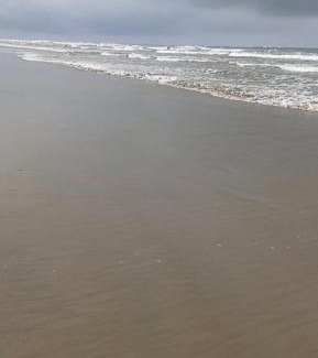 Cojimies Apartment | Cojimies Suite