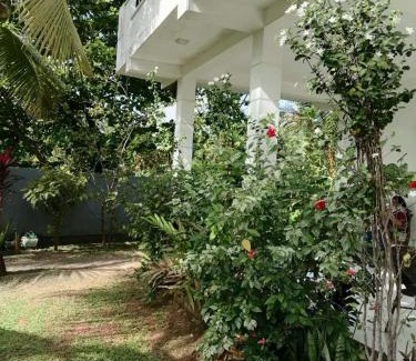 Seeduwa - Katunayake House | Colombo Airport Field View Villa