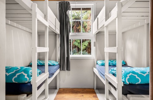 Lower Kaimai Cabin | Come for a simple, peaceful excursion in the lush Kaimai ranges