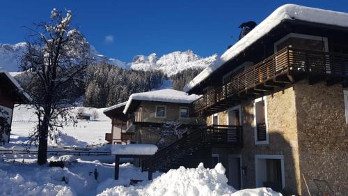 Padola Apartment | Comelico Chalet