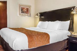 Queens Hotel | Comfort Inn & Suites LaGuardia Airport