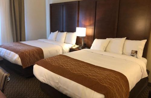 Clodine Hotel | Comfort Inn & Suites SW Houston Sugarland