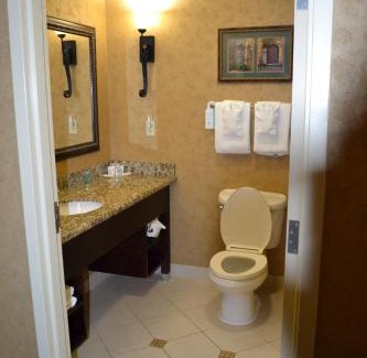 Downtown San Antonio Hotel | Comfort Suites Alamo-River walk
