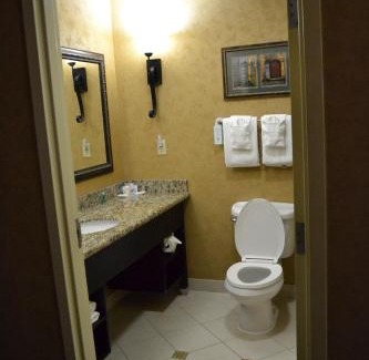 Downtown San Antonio Hotel | Comfort Suites Alamo-River walk