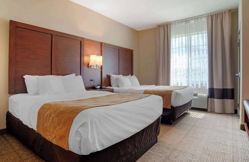 Alexandria Hotel | Comfort Suites Alexandria