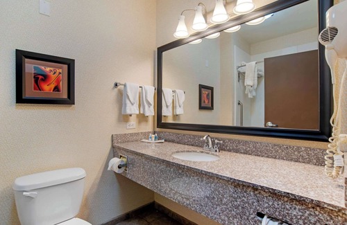 Alexandria Hotel | Comfort Suites Alexandria