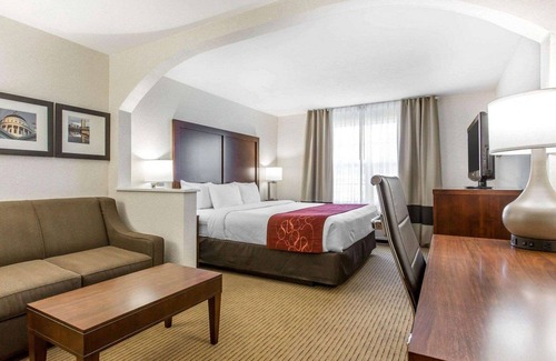 Central Sacramento Hotel | Comfort Suites Downtown Sacramento