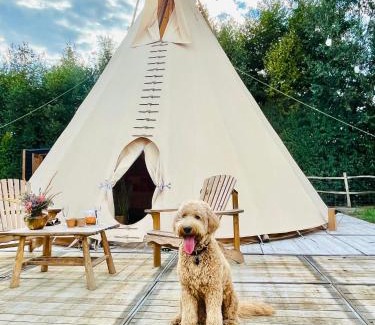 Lembeke Other | Comfort Tipi Marie, Tipi Bo Deluxe & tent Nicolaï - 'Glamping in stijl'