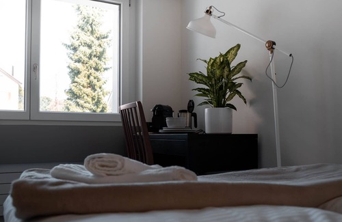 St. Gallen House | ★comfortable 1 BR-Apt with Netflix "cozy brown"★