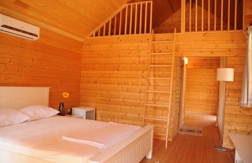 Olympos House | comfortable and cosy log houses in the great nature Olympos Antalya Turkey
