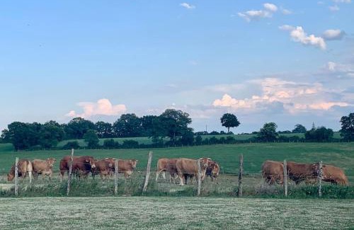 Asnois House | Comfortable countryside gite access to jacuzzi