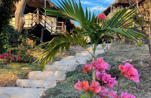 Tequesquitengo Other | Comuna Boho