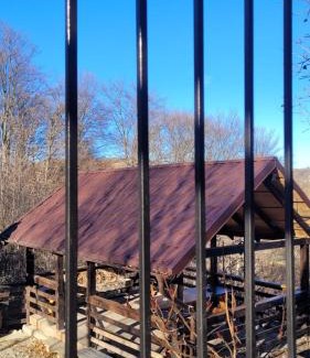 Poiana Marului Villa | Conacul din Pădure