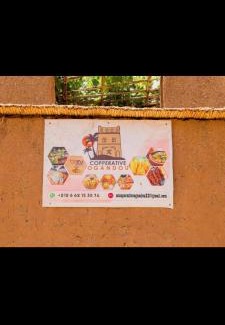 Skoura House | Coopérative Ogandou