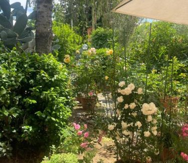 Castelnuovo di Porto Bed & Breakfast | Corelli & Company Rose Musica e Libri