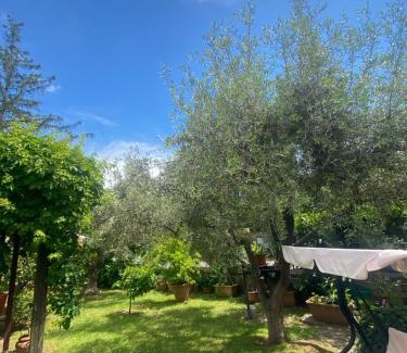 Castelnuovo di Porto Bed & Breakfast | Corelli & Company Rose Musica e Libri