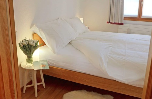 Surlej Apartment | Cosy apartment for 3 guests with WIFI, TV, terrace and parking
