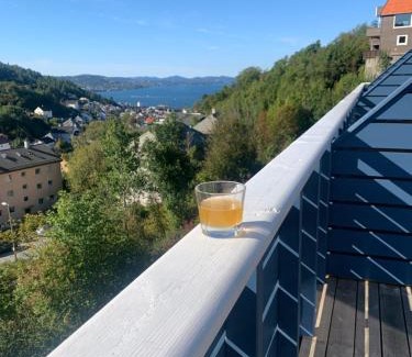Laksevag House | Cosy house with sunny terrace, garden and fjord view
