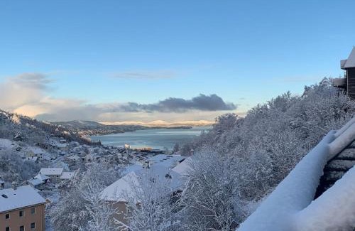 Laksevag House | Cosy house with sunny terrace, garden and fjord view