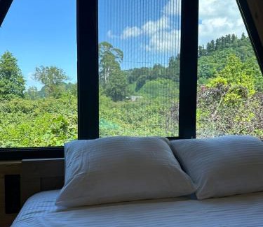 Gonio Ski Chalet | Cottage Lemons In Gonio