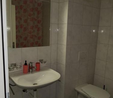 Matthaus Apartment | Cozy 2.5 rooms apartment in Basel-Riehenring-5FLR