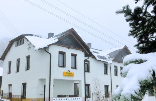 Tannenbergsthal Apartment | Cozy Apartment Near Ski