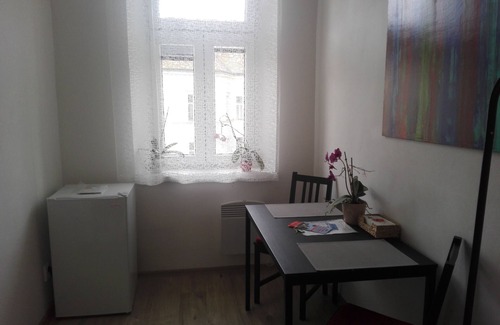 Zizkov Apartment | COZY APARTMENT NEJEDLEHO