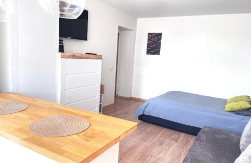 Trakai Apartment | Cozy apartment with lake view