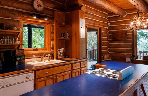 Boyne City Cabin | Cozy Cabin in the Forest close to skiing and Lake Charlevoix
