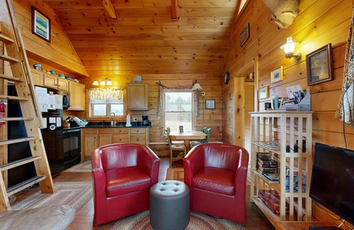 Greenville House | Cozy cabin in spectacular lakefront location with great views - dog-friendly