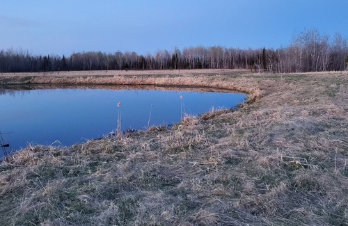 Forbes Cabin | Cozy Cabin on 40 Acres *Near Sax Zim Bog and Access to St. Louis River*