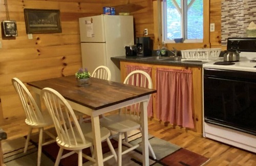 Grundy Cabin | Cozy cabin with direct access to Spearhead’s Coal Canyon trails!