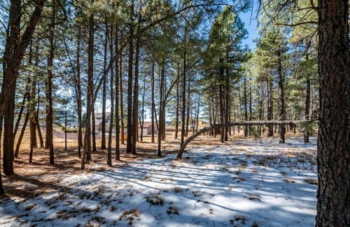 Fort Valley House | Cozy Chalet and Ski Getaway at the base of Snowbowl!!!