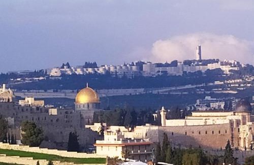 Jerusalem House | Cozy Garden