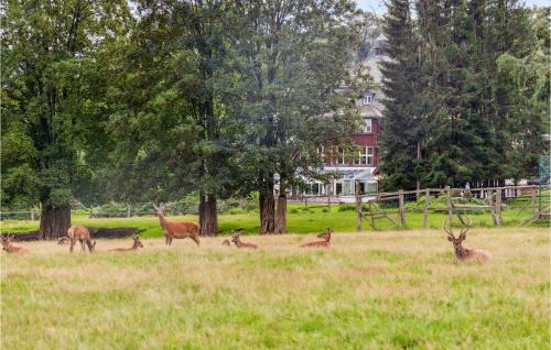 Benneckenstein House | Cozy Home In Oberharz With Wifi