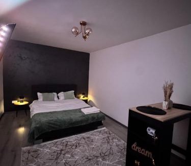 Petrosani Apartment | Cozy Home Studio