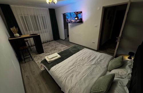 Petrosani Apartment | Cozy Home Studio