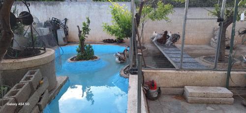 Paiania Apartment | Cozy House Oasis 15 min to airport & port, 35 min from Acropolis