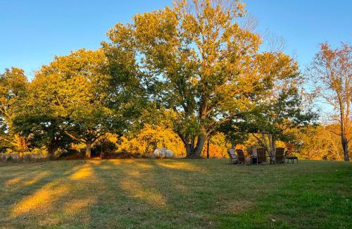 Ruckersville House | Cozy Log Cabin Getaway with Fire Pit and 3 Acres!