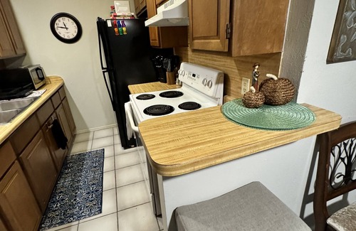 Southwest Carrollton Apartment | Cozy Work Retreat in North Dallas-Addison Area…Pet Friendly!