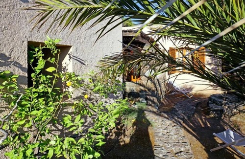 Pantelleria Apartment | Dammuso Hibiscus