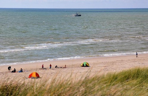 Argab Other | Dancamps Holmsland (Camp Site)