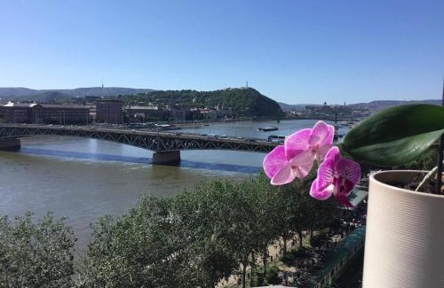 Ferencvaros Apartment | danube paradise