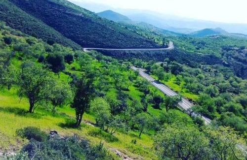 Ait Majden House | Dar assounfou