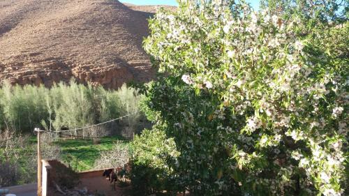 Ait Sedrate Jbel El Soufla House | Dar Essalama Dades