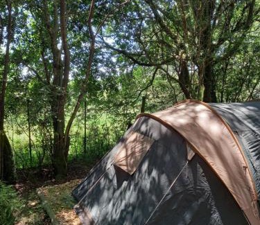 Dargle Other | Dargle campsite