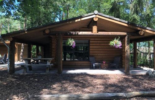 Norg House | De Brandaris