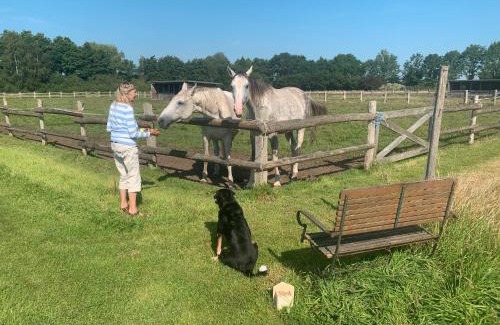 Marleben Apartment | Deelenwohnung