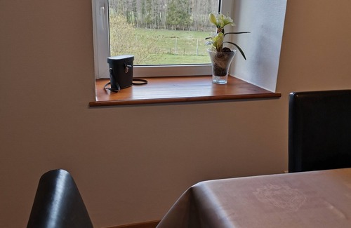 Birkenwald House | Deer cottage, comfort of 130 m2 with view on the park a hinds