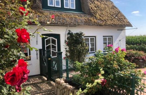 Großdunsum Apartment | Deichhof Whg Luana